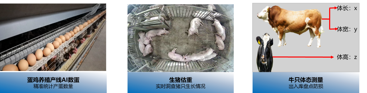 圖片關(guān)鍵詞